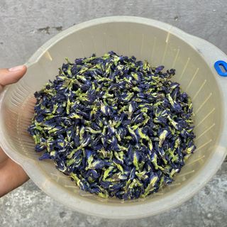 Trà hoa đậu biếc sấy khô
