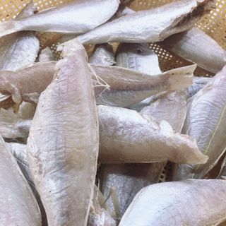 Khô cá đổng trắng, ít xương, dày thịt, thơm ngon, bỗ dưỡng cho mỗi bữa cơm, đảm bảo an toàn thực phẩm giá sỉ