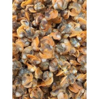 Ruột sò huyết làm sạch 500gr (giao hỏa tốc TPHCM)