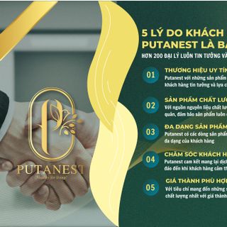 Putanest Chính Sách Phát Triển Đại Lý Trên Toàn Quốc