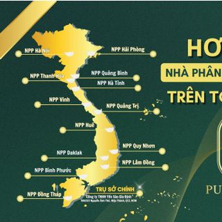 Putanest Chính Sách Phát Triển Đại Lý Trên Toàn Quốc