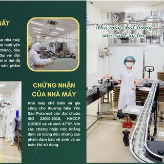 Putanest Chính Sách Phát Triển Đại Lý Trên Toàn Quốc