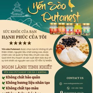 Putanest Chính Sách Phát Triển Đại Lý Trên Toàn Quốc