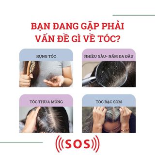 Tìm Nhà phân phối, cộng tác viên phân phối dầu gội tại hà nội