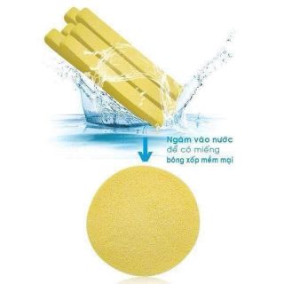 Mút nở bọt biển rửa mặt Chivey
