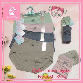 Quần lót nữ cotton đẹp fom đại 45-80kg