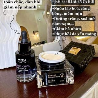 Kem cá hồi meea