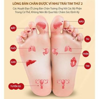 100 Miếng Dán Thải Độc Chân Nhật Bản Kinoki Detox Foot Patch