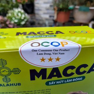 Hạt Mắc Ca Giá Sỉ Lâm Đồng Giao Hàng Toàn Quốc