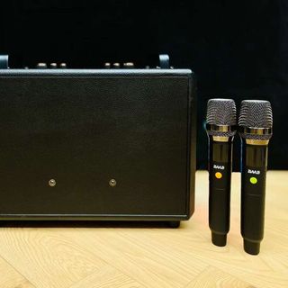 Loa karaoke xách tay BMB BB-5038.