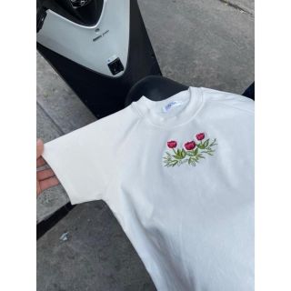 Áo Thun BabyTee chất siêu đẹp