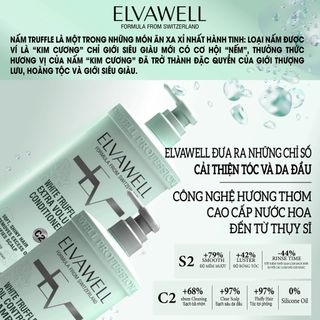 Cặp gội xả giảm rụng tóc sạch dầu bết Elvawell