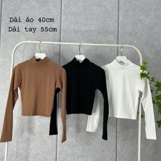 Áo cổ lọ tay dài form CRT