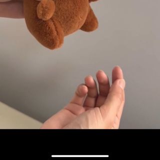 Móc khoá chuột lang kéo mũi