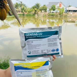 Chuyên đặc trị về bệnh phân trắng trên tôm Gentab LV
