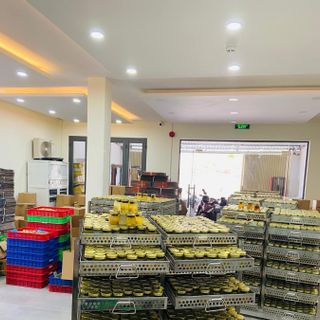 Combo 20 Hủ Yến Chưng Sẵn( dành cho người tiểu đường )35% tổ yến/lọ 70ml HiNest - Yến sào cao cấp ( Không kèm hộp)