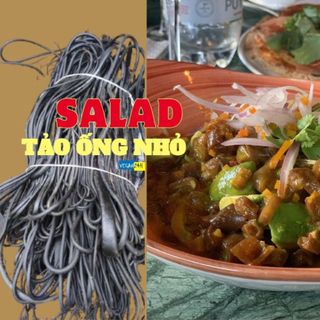 Tảo ống nhỏ không phải tảo xoắn đâu nhé