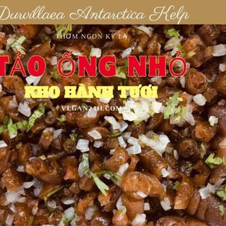 Rong biển Chile tảo ống nhỏ cực kỳ ngon