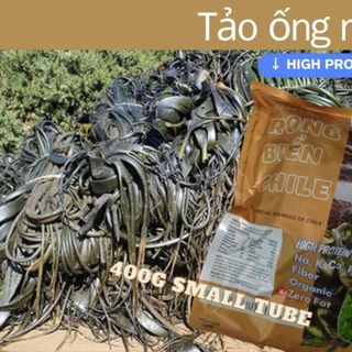 Tảo ống cỡ nhỏ nhất này chỉ có Vegan24H mới có thôi ạ