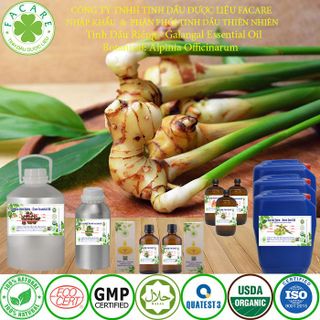 Tinh dầu riềng Galangal Essential Oil - 100ml