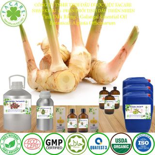 Tinh dầu riềng Galangal Essential Oil - 100ml