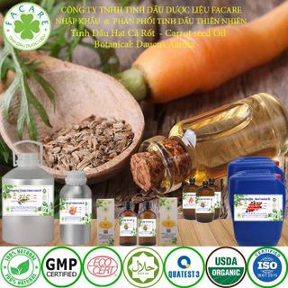 Tinh Dầu Hạt Cà Rốt Carrot seed essential oil - 50ml