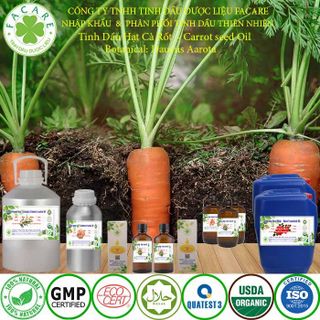 Tinh Dầu Hạt Cà Rốt Carrot seed essential oil - 50ml