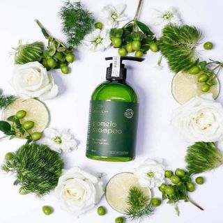 DẦU GỘI BƯỞI POMELO SHAMPOO 280ml Giúp mọc tóc nhanh, dày và khoẻ mạnh,