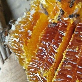 Mật ong hoa cà phê Tây Nguyên