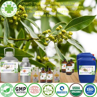 Tinh dầu Nguyệt quế Bay leaf essential oil giúp đuổi muỗi - 50ml