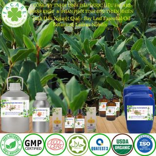 Tinh dầu Nguyệt quế Bay leaf essential oil giúp đuổi muỗi - 50ml