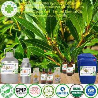 Tinh dầu Nguyệt quế Bay leaf essential oil giúp đuổi muỗi - 50ml
