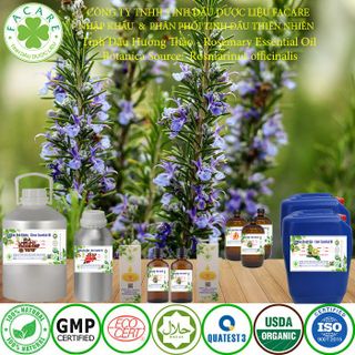 Tinh dầu Hương Thảo Rosemary essential oil giúp thơm phòng, giảm stress hiệu quả - 100ml giá sỉ