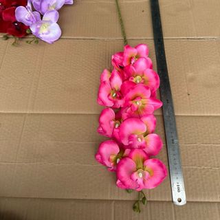 Cành Lan Hồ Điệp A2
