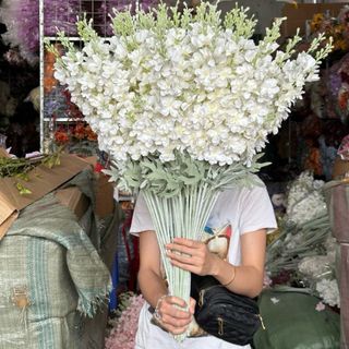 Cành Phi Yến Kép Decor