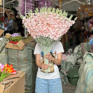 Cành Phi Yến Kép Decor