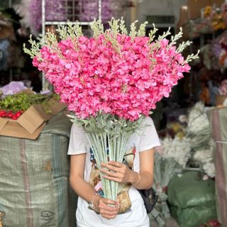 Cành Phi Yến Kép Decor