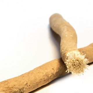 Chiết xuất siwak