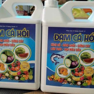 Đạm Cá Hồi Giá Sỉ: Giải Pháp Tối Ưu Cho Nhu Cầu Phân Bón