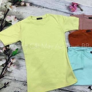 Áo thun Body tay ngắn cổ tròn