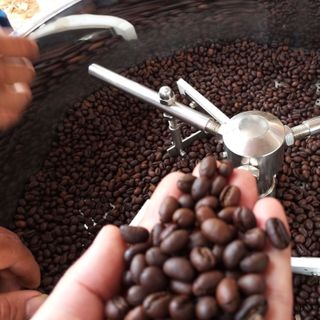 Cà phê hạt nguyên chất culi chuyên pha máy giá sỉ