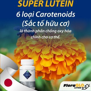 Super Lutein 100 viên Nhật