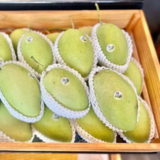 Xoài cát hòa lộc tươi sạch hữu cơ