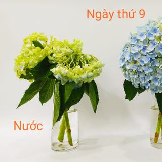 TUYỂN SỈ ĐẠI LÝ NHÀ PHÂN PHỐI TRÊN TOÀN QUỐC HỢP TÁC CÙNG PHÁT TRIỂN