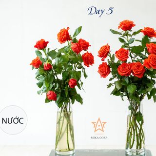 TUYỂN SỈ ĐẠI LÝ NHÀ PHÂN PHỐI TRÊN TOÀN QUỐC HỢP TÁC CÙNG PHÁT TRIỂN