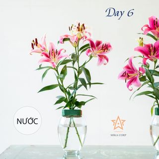 TUYỂN SỈ ĐẠI LÝ NHÀ PHÂN PHỐI TRÊN TOÀN QUỐC HỢP TÁC CÙNG PHÁT TRIỂN