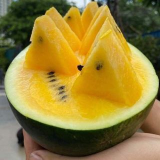 Dưa hấu ruột vàng tươi sạch