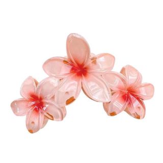 Kẹp gấp hoa sứ 3(lố 12)