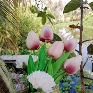 Giỏ xách cỏ bàng thân thiện môi trường