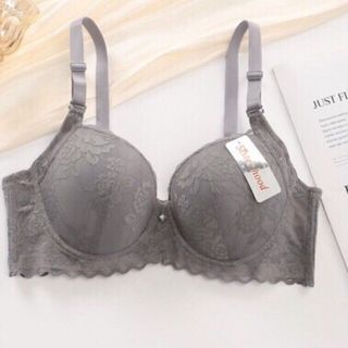 Áo lót có gọng đệm mỏng quả to bản to size lớn, áo ngực nữ Ren bản to ngoại cỡ bigsize cho người béo 2417